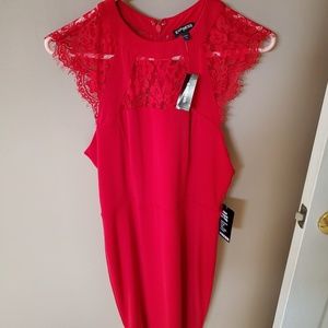 Express lace dress